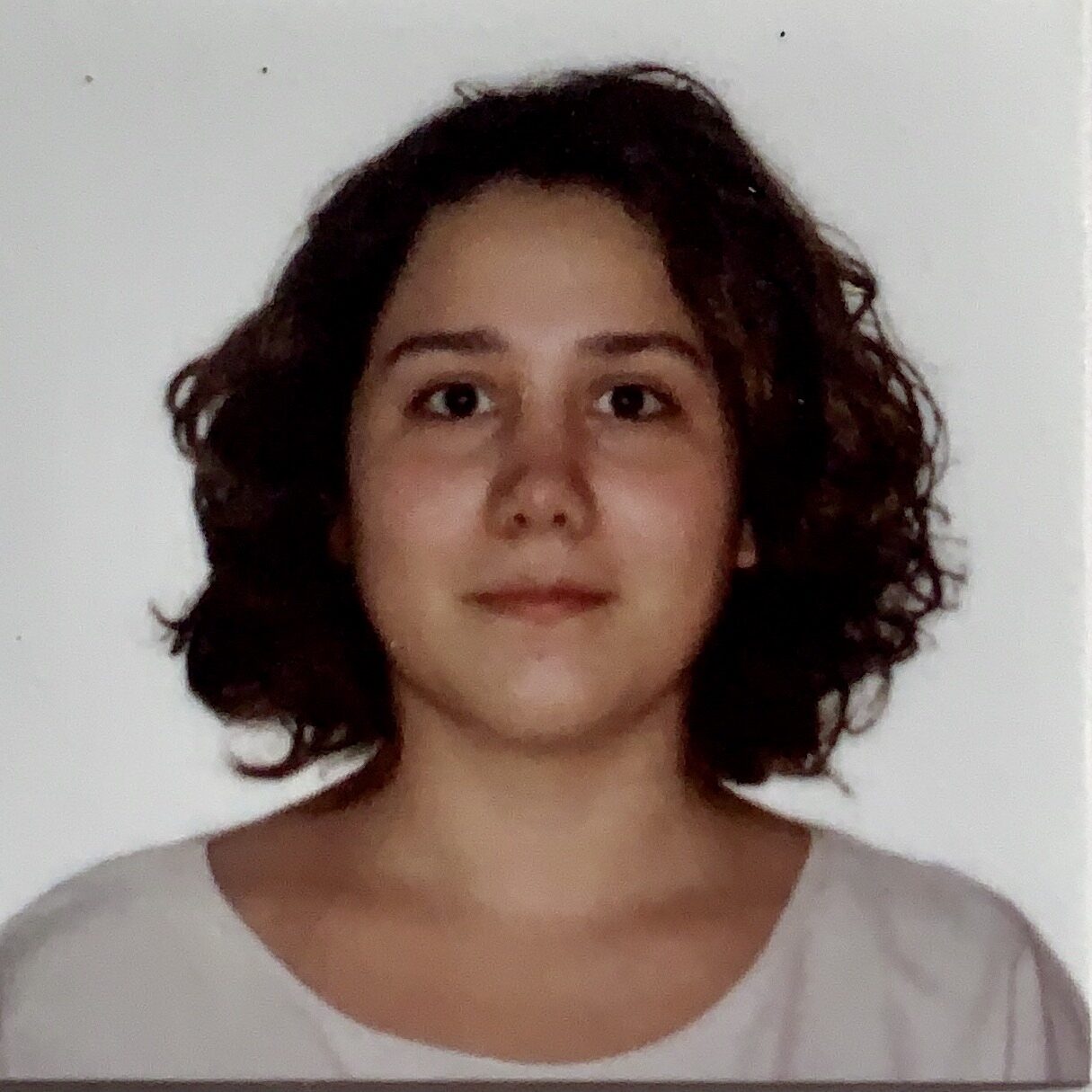 5d2dee4617bc-foto_carnet